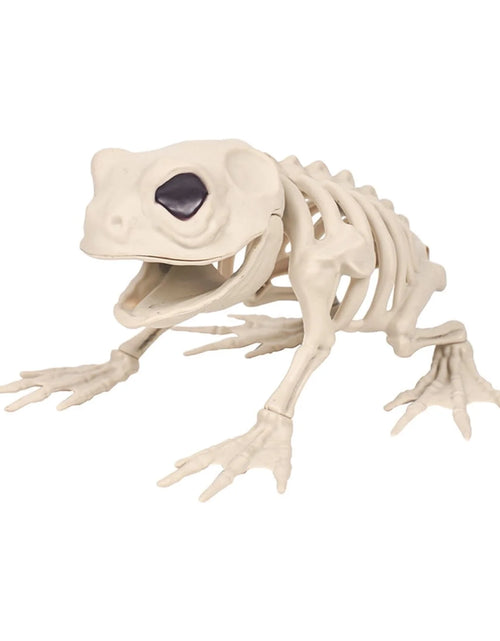 Load image into Gallery viewer, Halloween Decoration Halloween Skeleton Horror Decorations Simulation Animals Skeleton Ornaments Bar Decoration Frogs Skeleton on Clearance